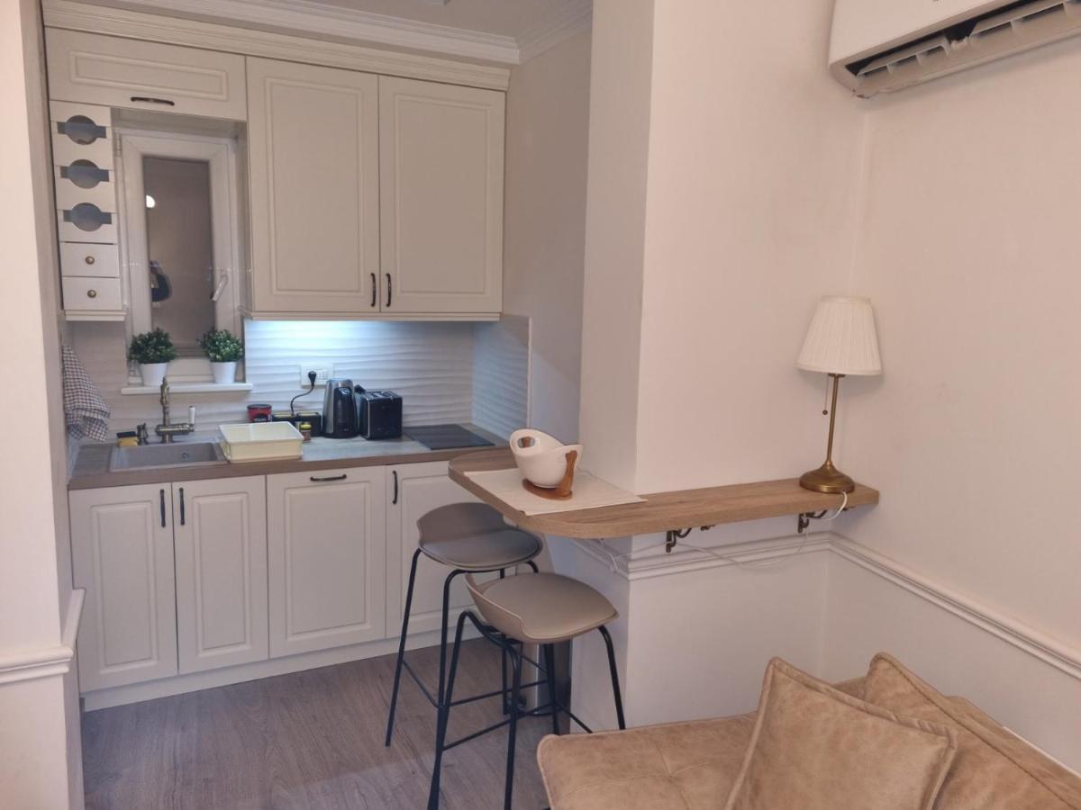 Apartment Nusic Residence Βελιγράδι Εξωτερικό φωτογραφία